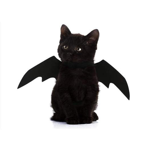 Easy Batwings Cat Halloween Costume - Grab & Glow