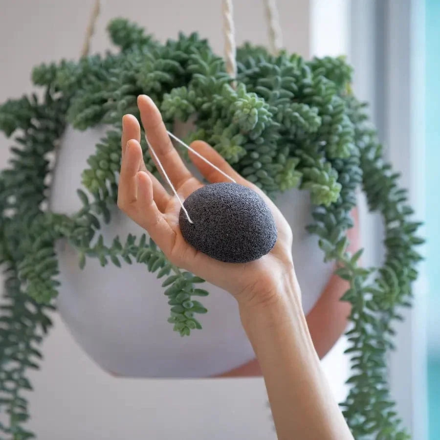 Konjac Facial Sponge - Charcoal - Grab & Glow