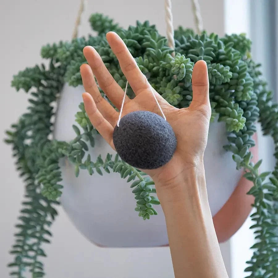 Konjac Facial Sponge - Charcoal - Grab & Glow