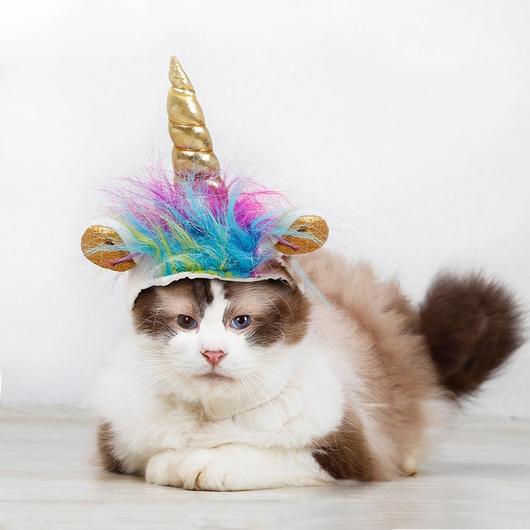 "Unicorn VS Devil" Pets Halloween Costume Hats - Grab & Glow