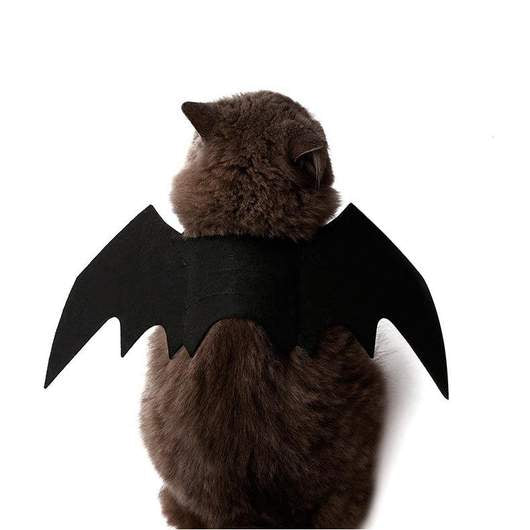 Easy Batwings Cat Halloween Costume - Grab & Glow