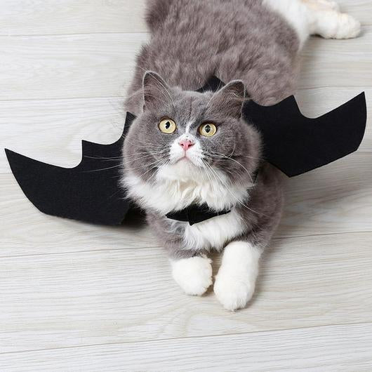 Easy Batwings Cat Halloween Costume - Grab & Glow