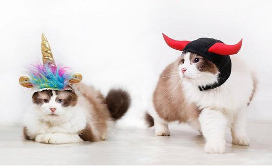 "Unicorn VS Devil" Pets Halloween Costume Hats - Grab & Glow