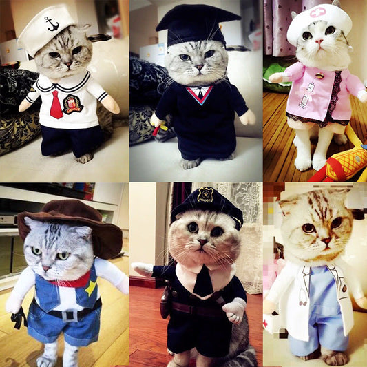 Hot Selling Pets Coolest Costumes - Grab & Glow