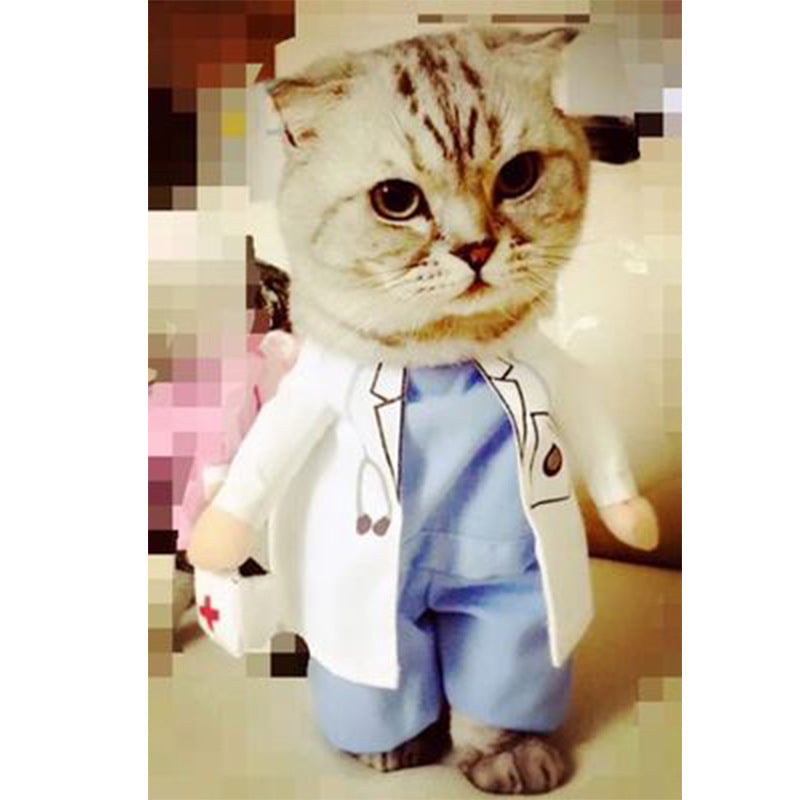 Hot Selling Pets Coolest Costumes - Grab & Glow