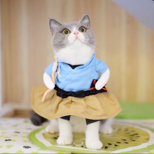 Cute Pet costumes - Grab & Glow