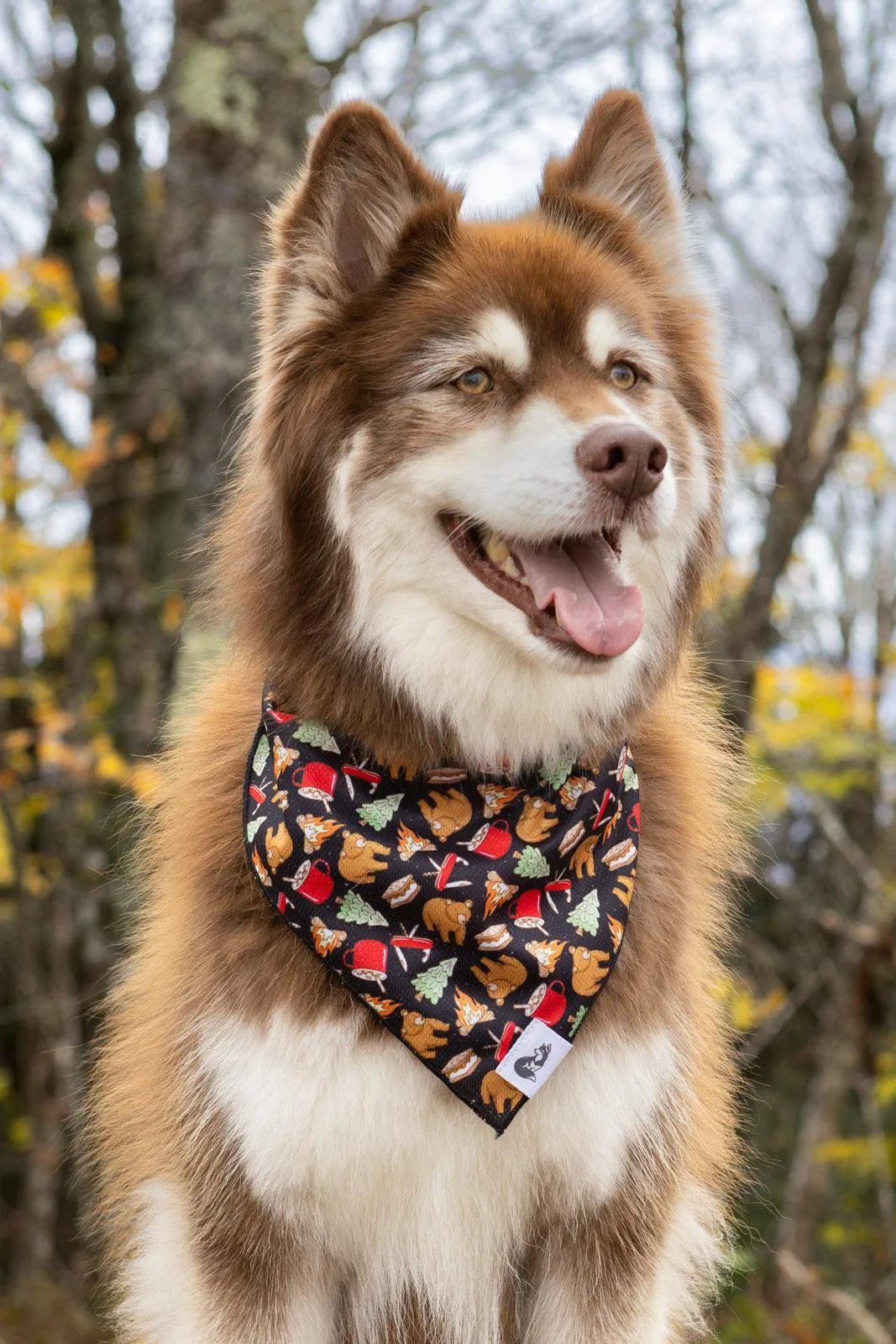 Woodland Tales Dog Bandana - Grab & Glow