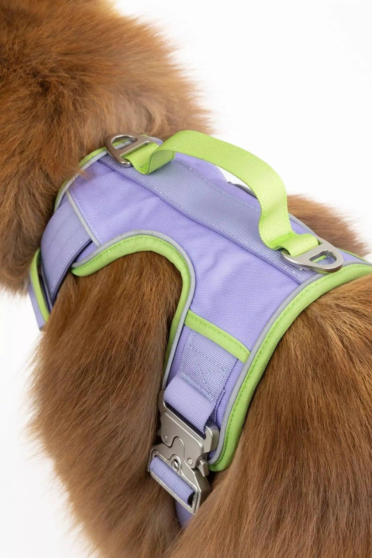 Lavender Garden Ultimate Dog Harness - Grab & Glow