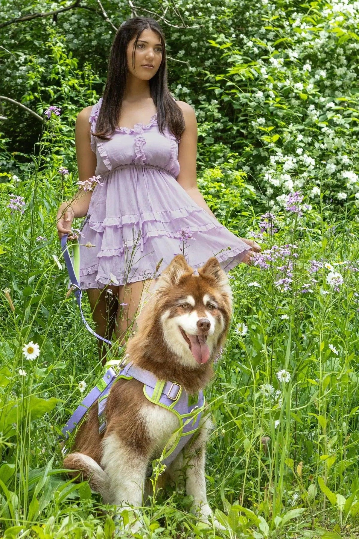 Lavender Garden Ultimate Dog Harness - Grab & Glow