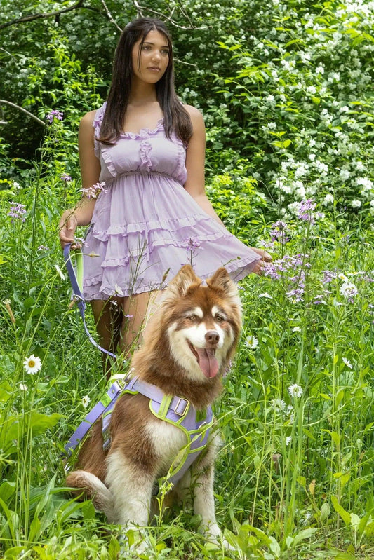 Lavender Garden Ultimate Dog Harness - Grab & Glow