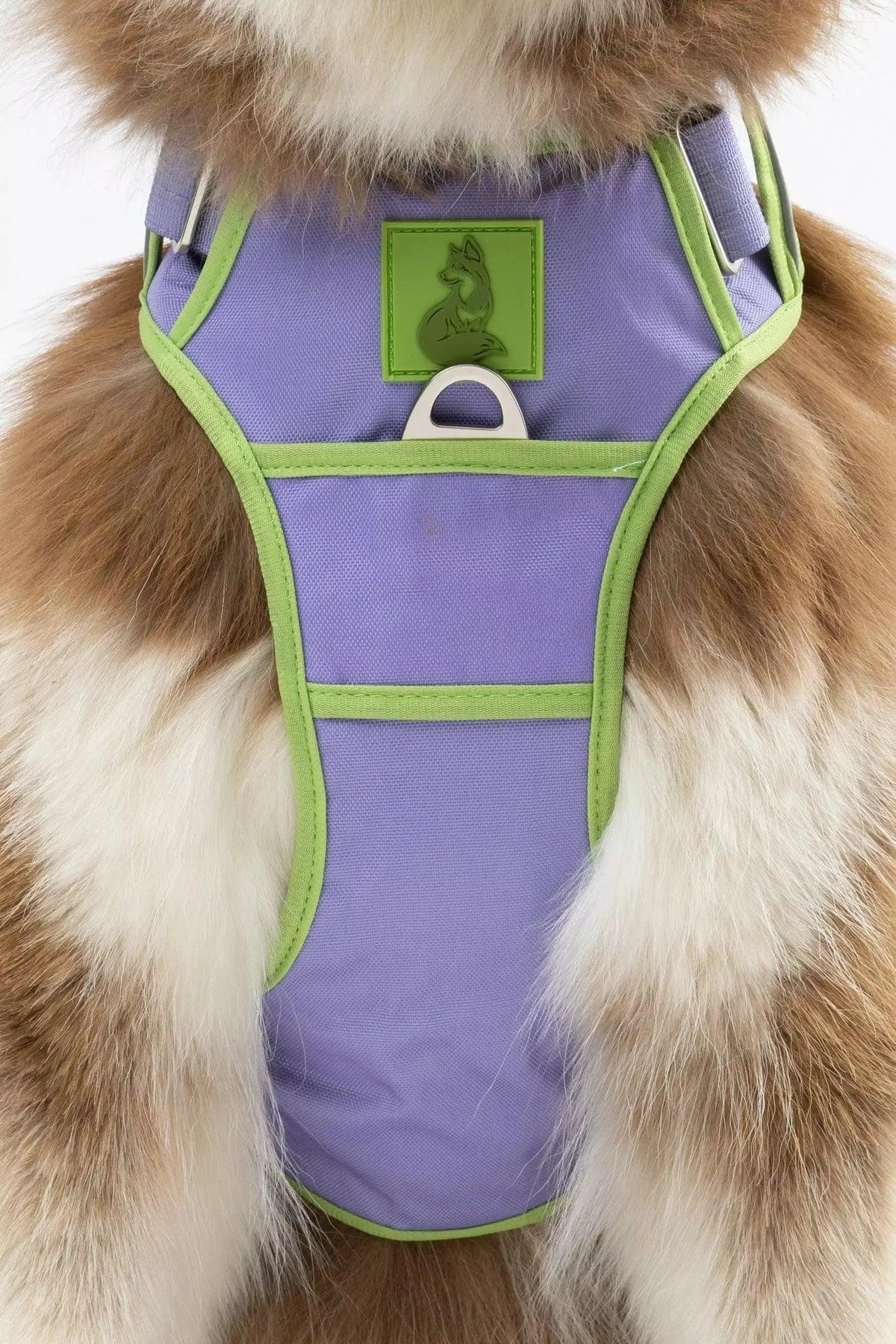 Lavender Garden Ultimate Dog Harness - Grab & Glow