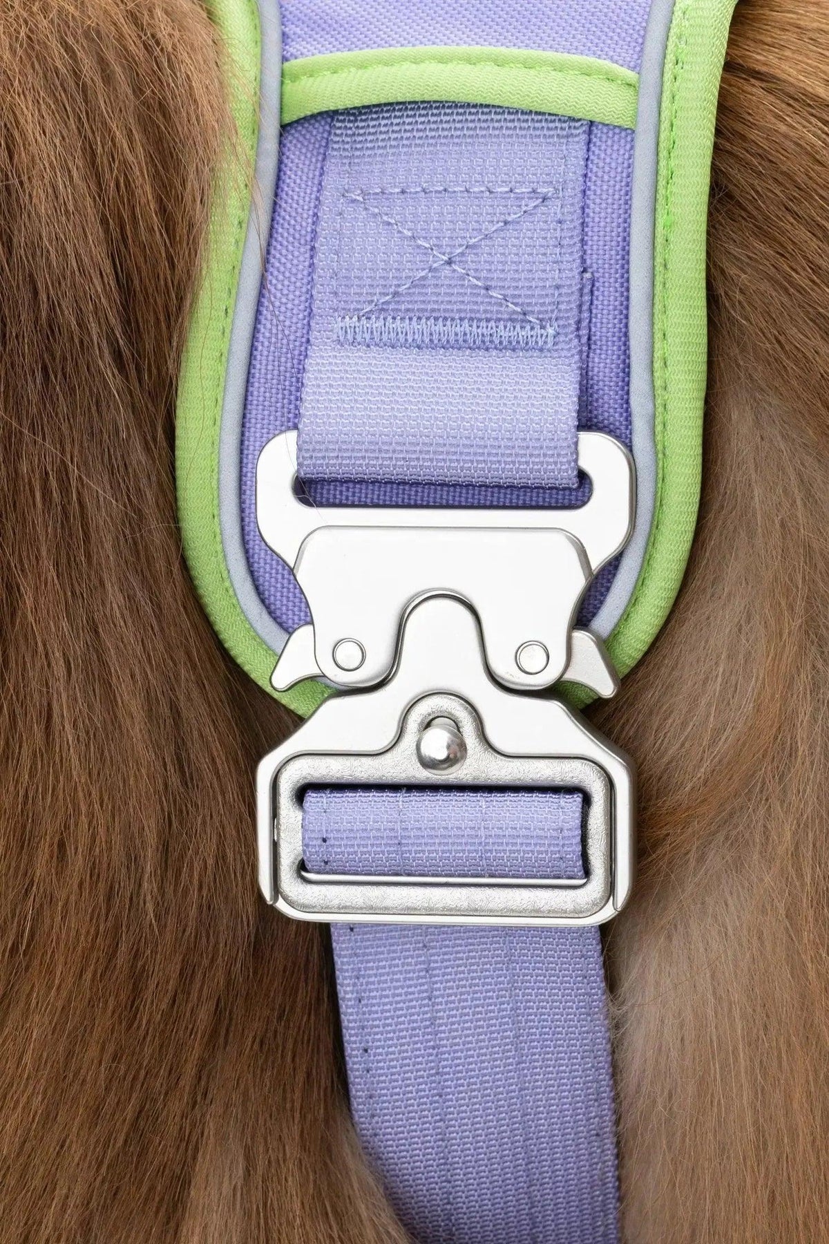 Lavender Garden Ultimate Dog Harness - Grab & Glow