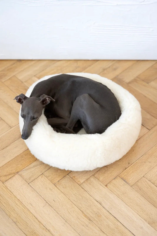 Round Natural Wool Pet Bed - White - Grab & Glow