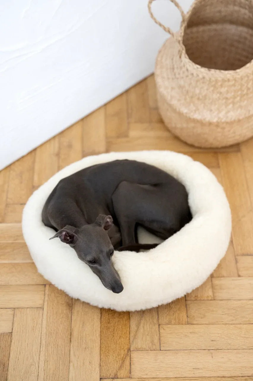 Round Natural Wool Pet Bed - White - Grab & Glow