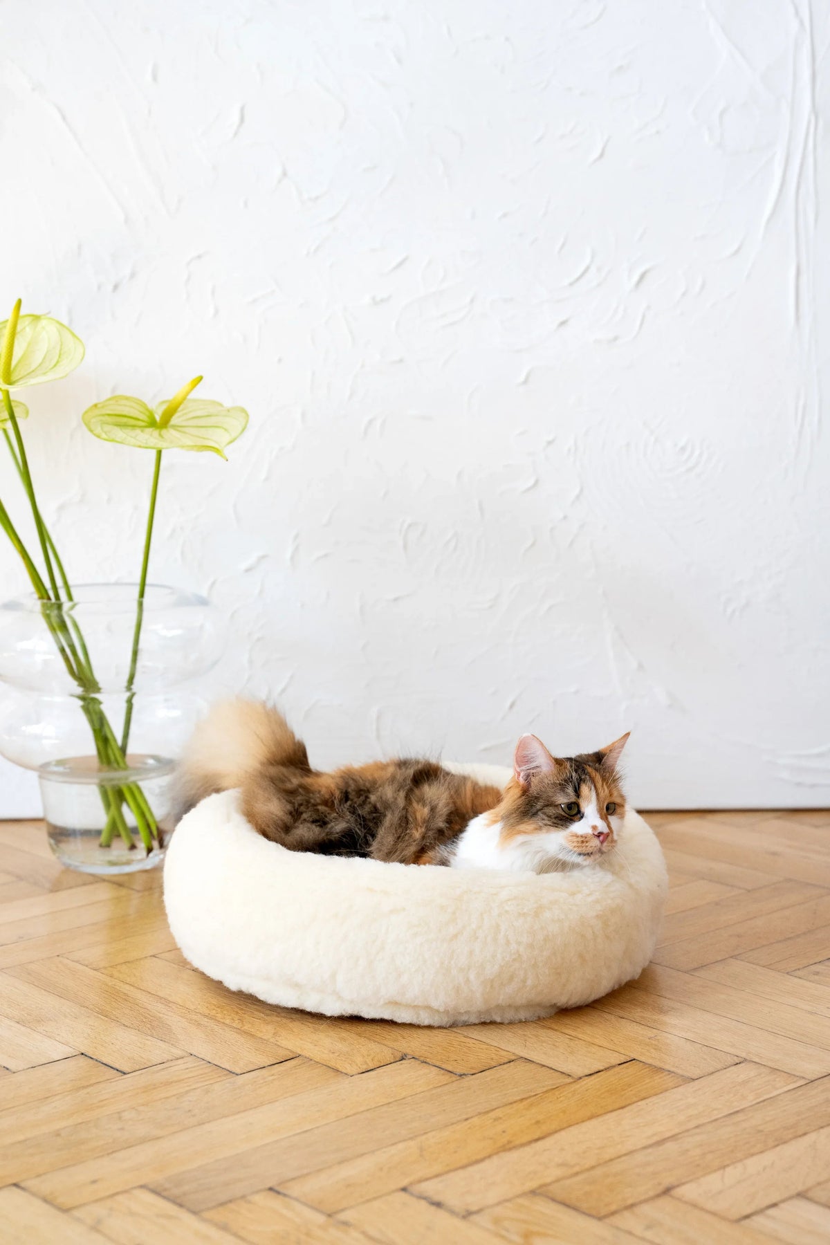 Round Natural Wool Pet Bed - White - Grab & Glow
