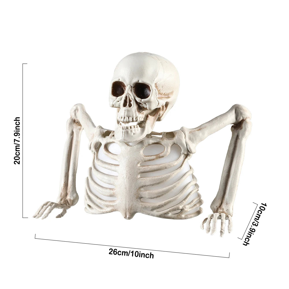 Halloween Decorations Glowing Skull Skeleton Human Head Haunted House Outdoor Yard Horror Props Holiday Scarry Home Supplies - Grab & Glow