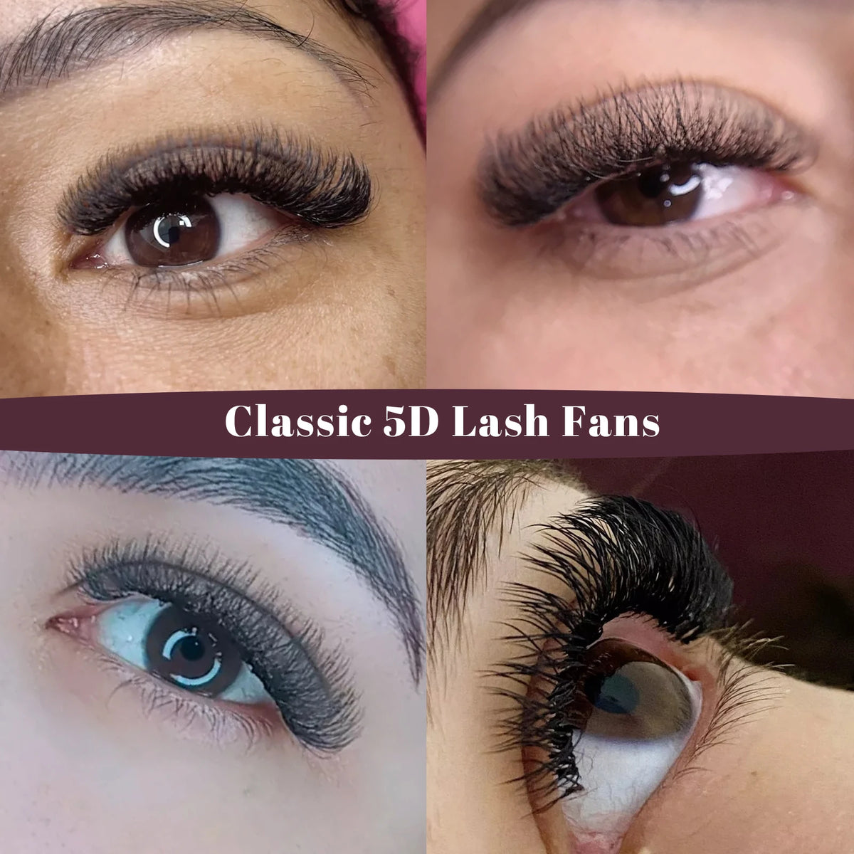 DeceMars 5D - W Shaped Eyelash Extension (12line/Tray) by Grab & Glow