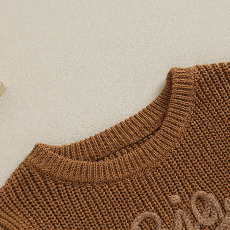 2023-09-18 Lioraitiin 12M-5Y Winter Newborn Kids Boys Sweaters Cotton Long Sleeve Letter Embroidery Pullover Loose Knitwear Tops by Grab & Glow
