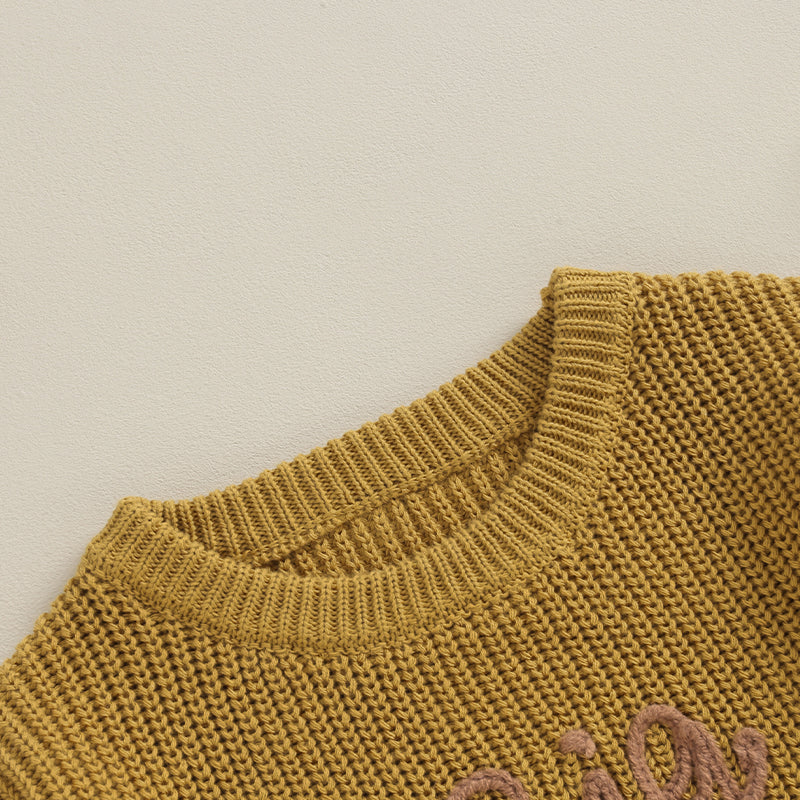2023-09-18 Lioraitiin 12M-5Y Winter Newborn Kids Boys Sweaters Cotton Long Sleeve Letter Embroidery Pullover Loose Knitwear Tops by Grab & Glow