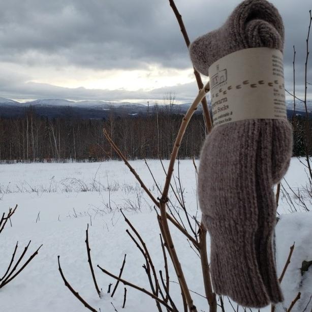 Superwarm Heavy Extreme Alpaca Socks - Grab & Glow